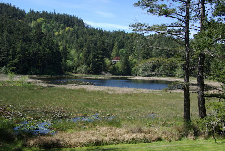 Property Photo: 18 tomihi drive, orcas island 18 Tomihi Dr WA 98245