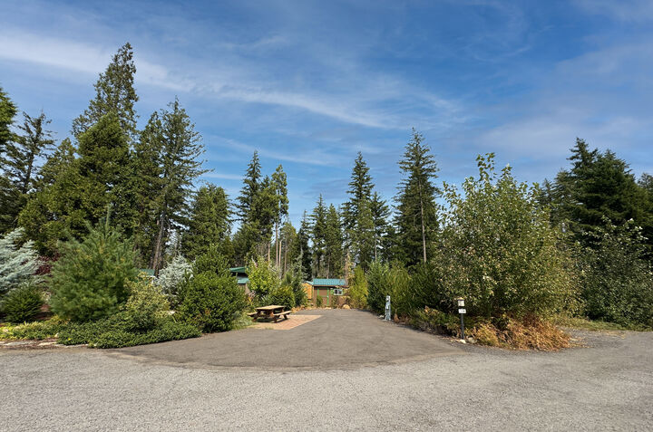 Property Photo: 54432 McKenzie Hwy 38 OR 97413