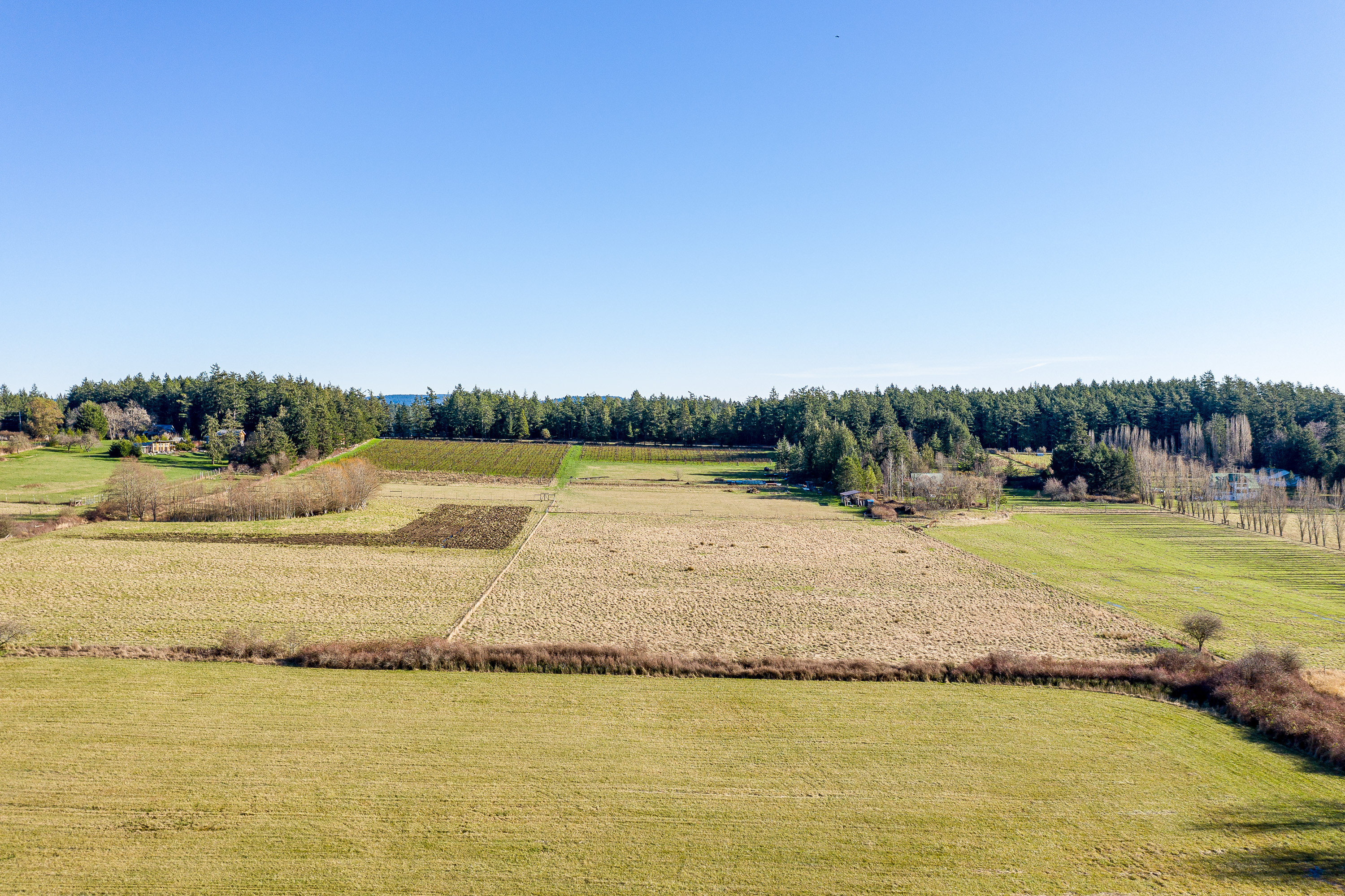 Property Photo:  0 Lopez Road  WA 98261 