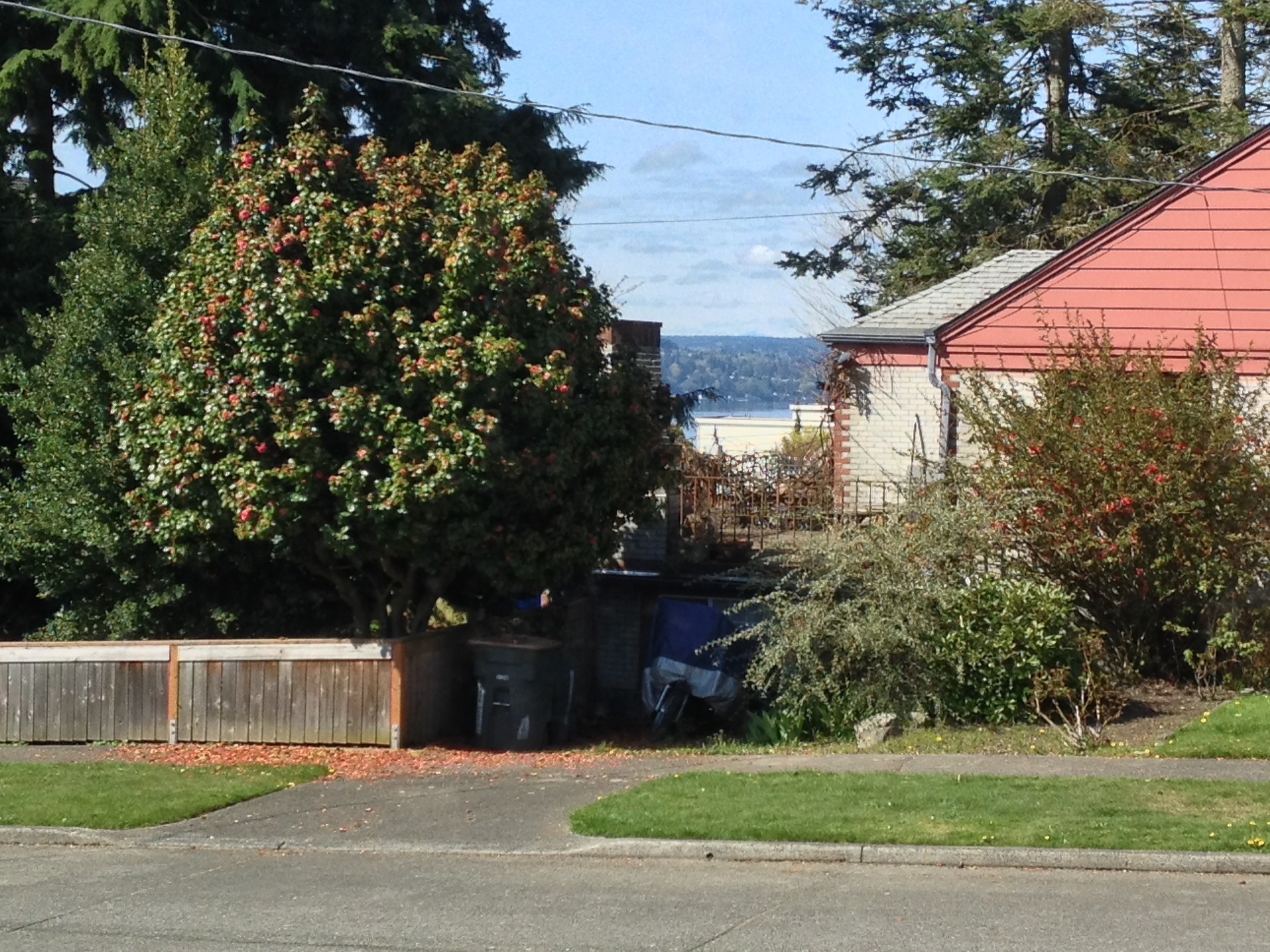 Property Photo: Home profile 3623 SW Henderson St WA 98126